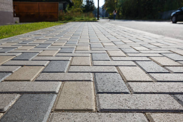 Best Professional Driveway Pavers  in Fremont, NC