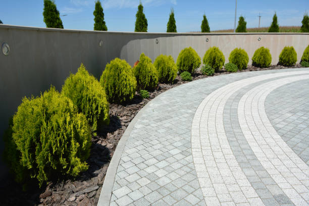 Best Brick Driveway Pavers  in Fremont, NC